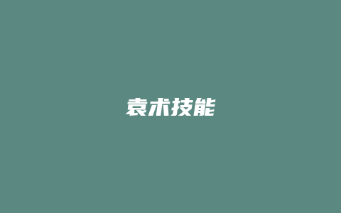 袁术技能