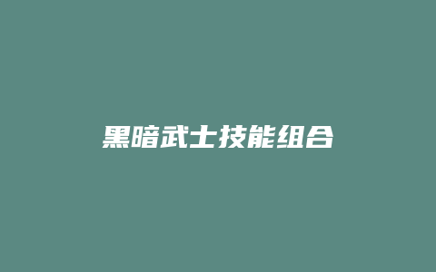 黑暗武士技能组合