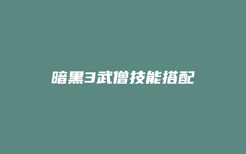 暗黑3武僧技能搭配