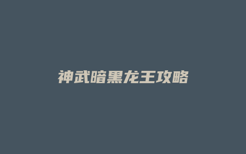 神武暗黑龙王攻略