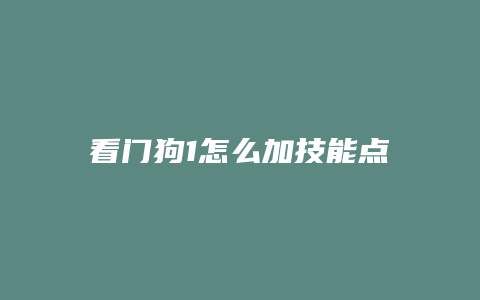 看门狗1怎么加技能点