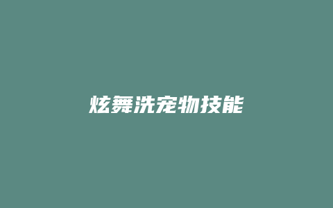 炫舞洗宠物技能