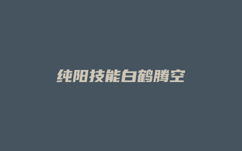 纯阳技能白鹤腾空
