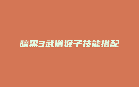 暗黑3武僧猴子技能搭配