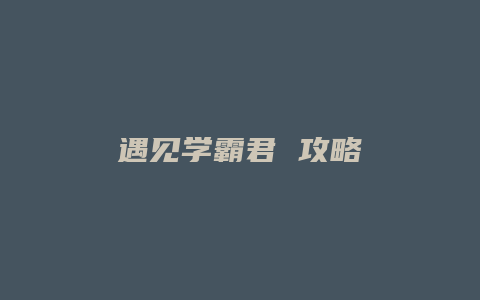 遇见学霸君 攻略