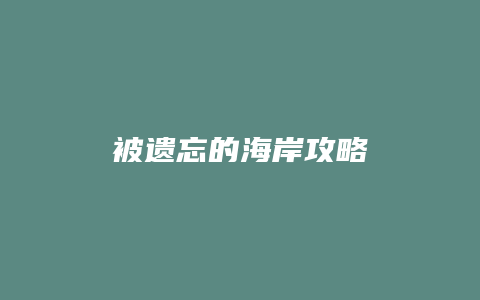 被遗忘的海岸攻略