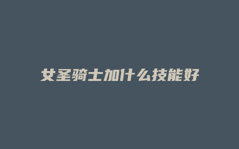 女圣骑士加什么技能好