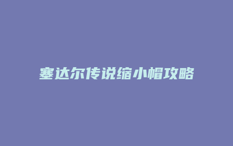塞达尔传说缩小帽攻略