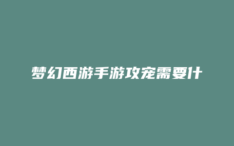 梦幻西游手游攻宠需要什么技能