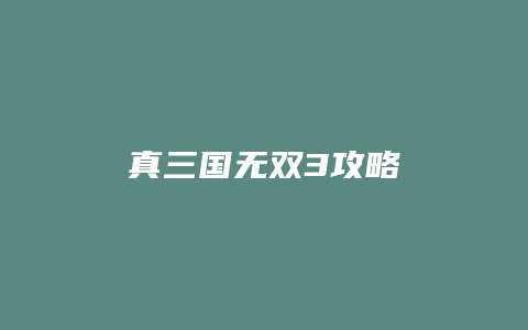 真三国无双3攻略