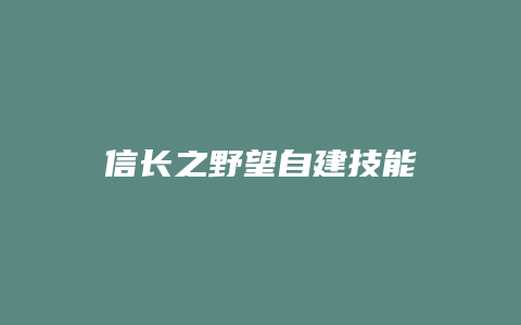 信长之野望自建技能