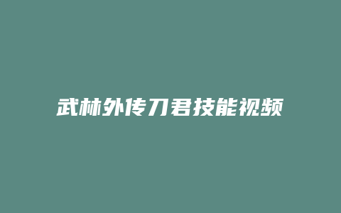 武林外传刀君技能视频