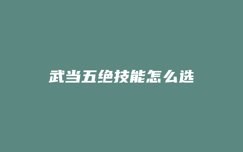 武当五绝技能怎么选