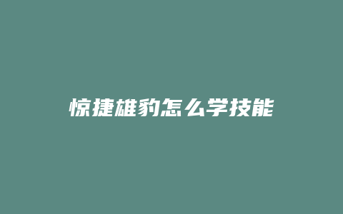 惊捷雄豹怎么学技能