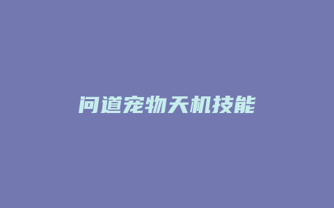 问道宠物天机技能