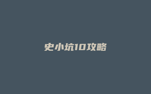 史小坑10攻略