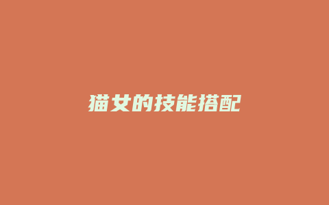 猫女的技能搭配