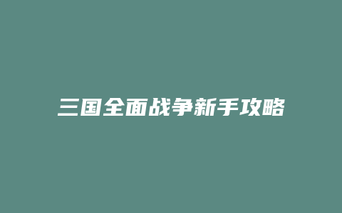 三国全面战争新手攻略