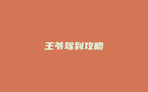 王爷驾到攻略