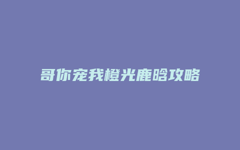 哥你宠我橙光鹿晗攻略