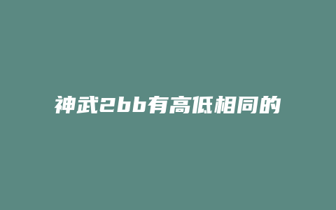 神武2bb有高低相同的技能